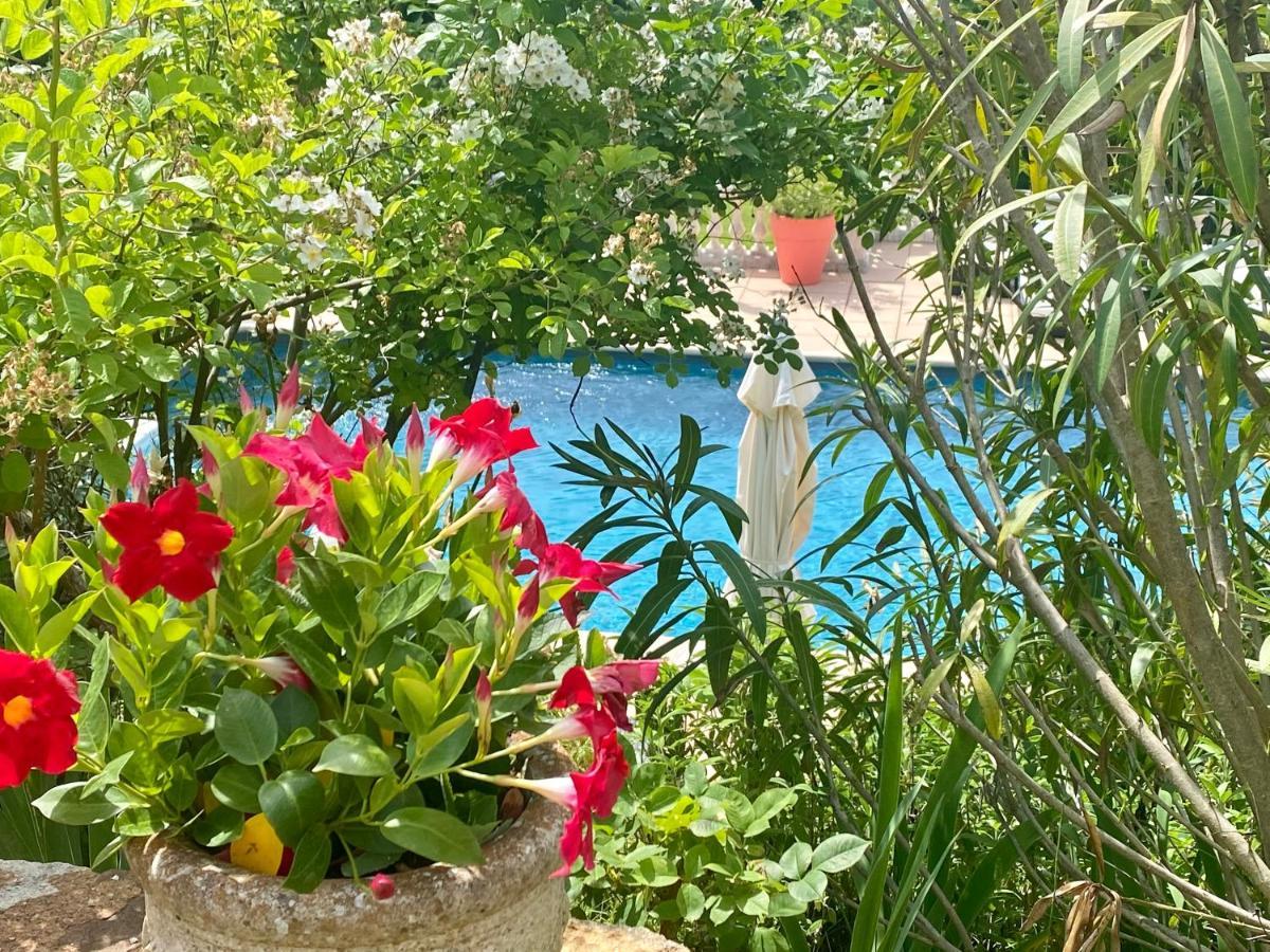 Villa Des Roses Roussillon en Isere Kültér fotó