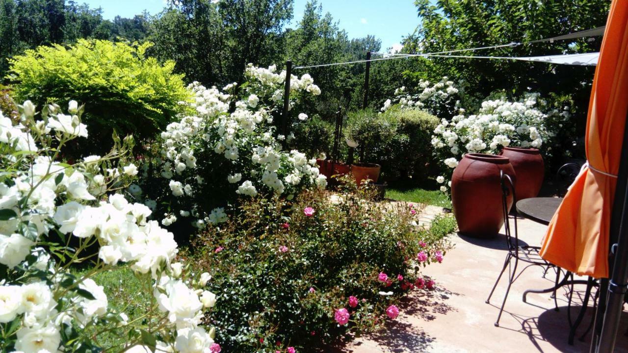 Villa Des Roses Roussillon en Isere Kültér fotó